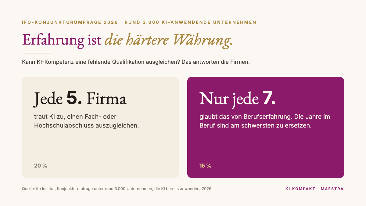 ifo-Umfrage 2026: Jede fünfte Firma traut KI zu, einen Hochschulabschluss auszugleichen, nur jede siebte glaubt das von Berufserfahrung
